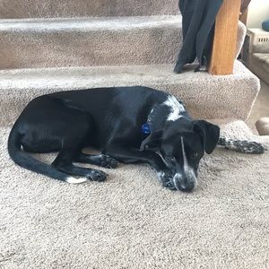 Meet your Posher, Cori